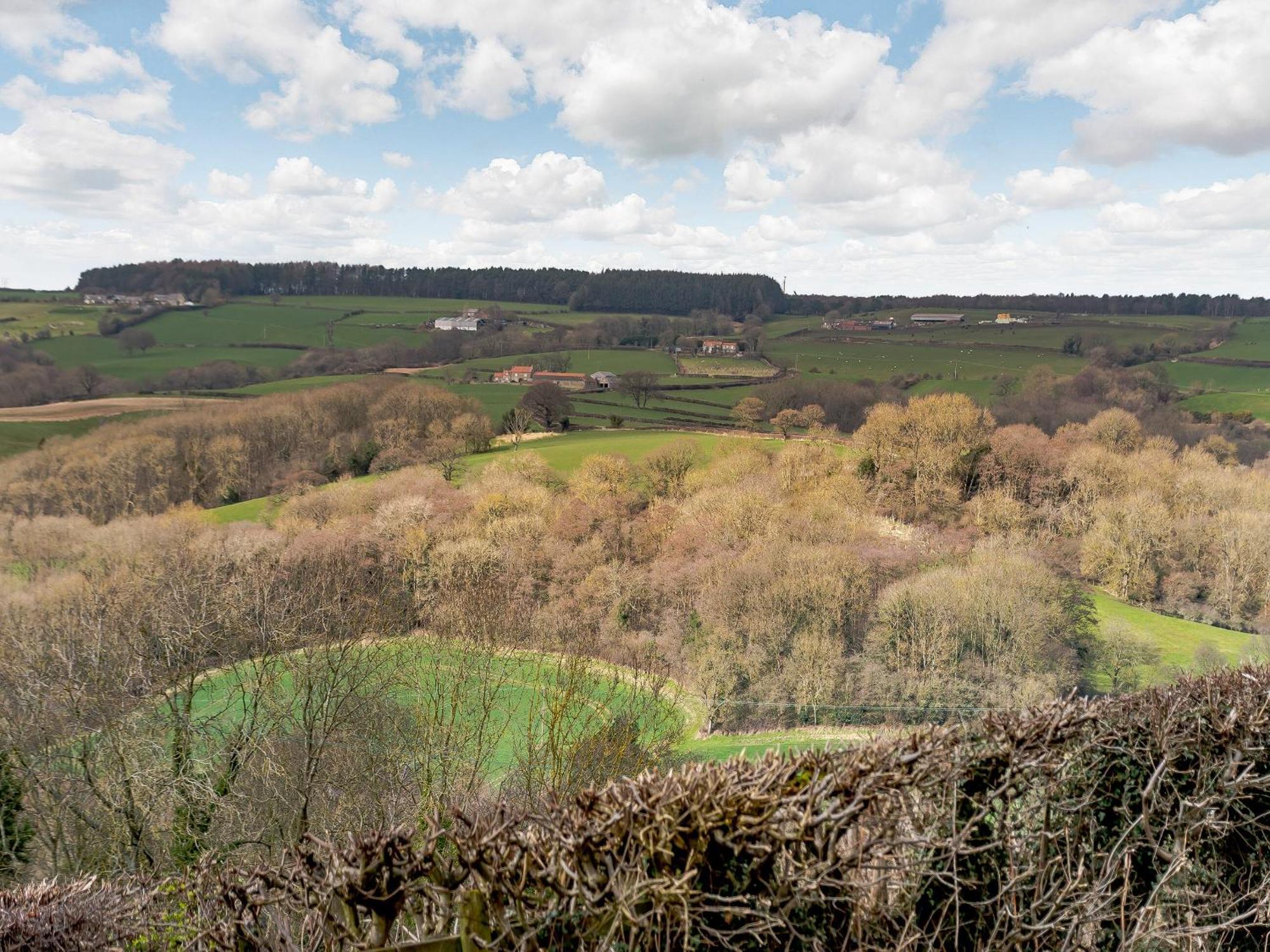 Esk Dale View Villa Grosmont  Buitenkant foto